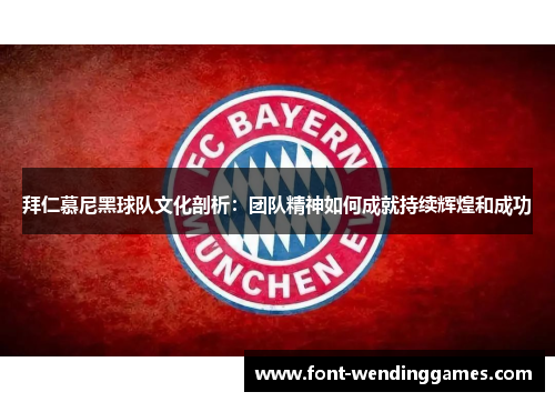 拜仁慕尼黑球队文化剖析：团队精神如何成就持续辉煌和成功