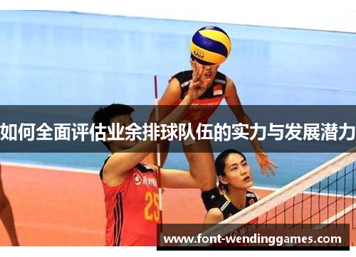 如何全面评估业余排球队伍的实力与发展潜力