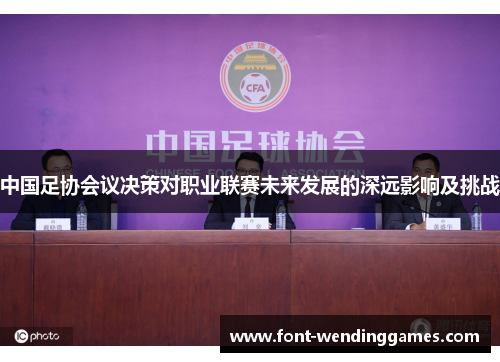 中国足协会议决策对职业联赛未来发展的深远影响及挑战