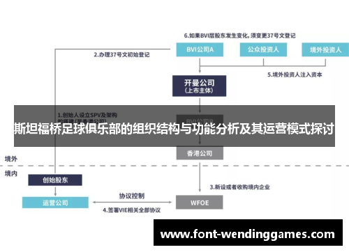 斯坦福桥足球俱乐部的组织结构与功能分析及其运营模式探讨