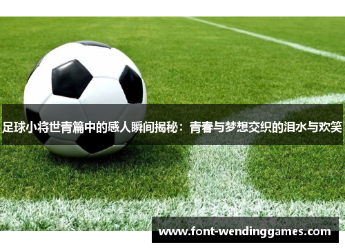 足球小将世青篇中的感人瞬间揭秘：青春与梦想交织的泪水与欢笑