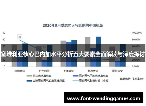 塞维利亚核心巴内加水平分析五大要素全面解读与深度探讨