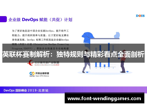 英联杯赛制解析：独特规则与精彩看点全面剖析